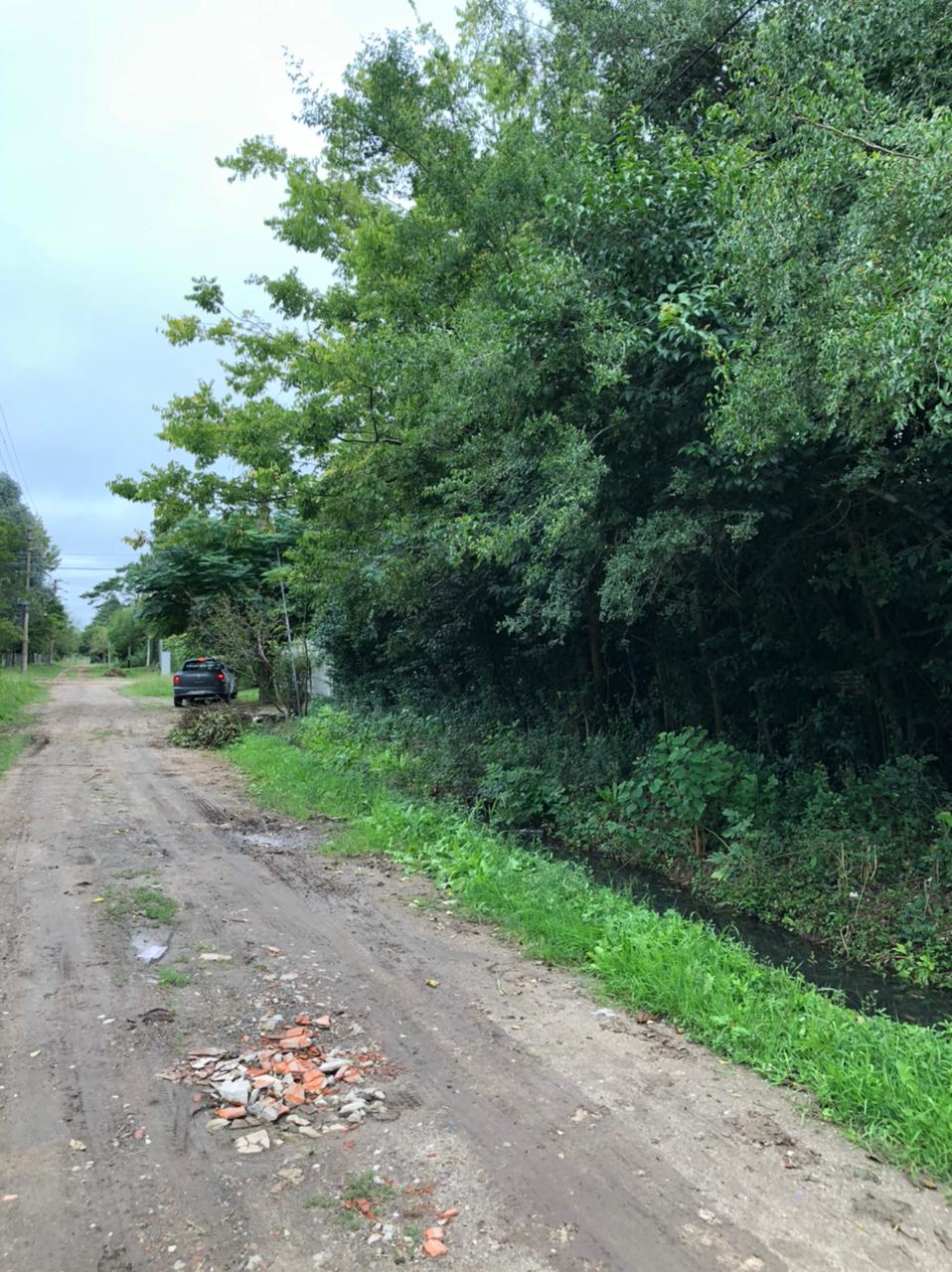 419 entre 146 y 147, Lote de 15 x 25