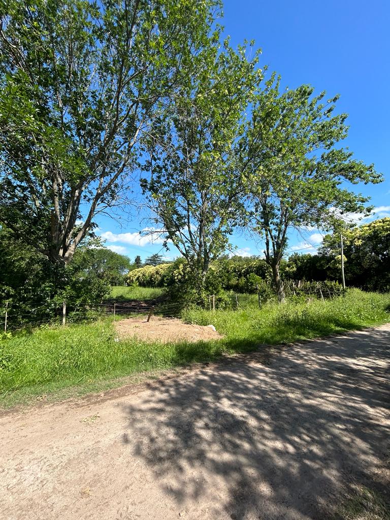 VENTA LOTE VILLA ELISA